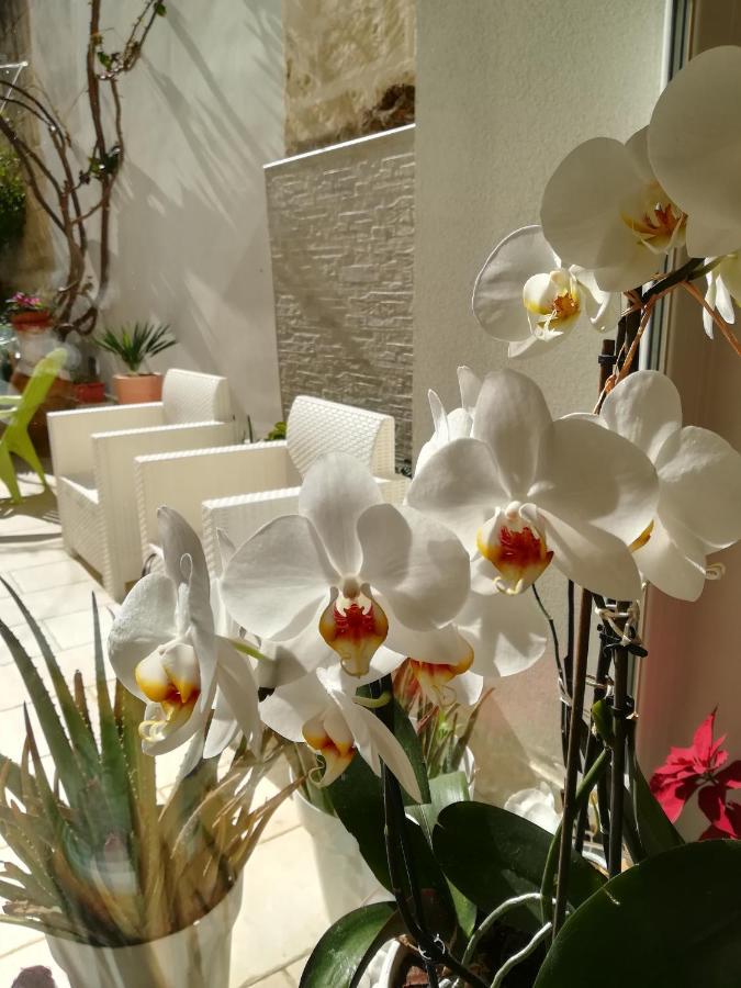Meraki B&B Lecce Exterior foto